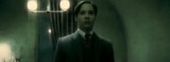 Who plays Voldemort in Harry Potter?
